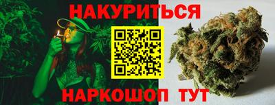 индика Тверь