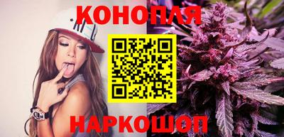 индика Тверь