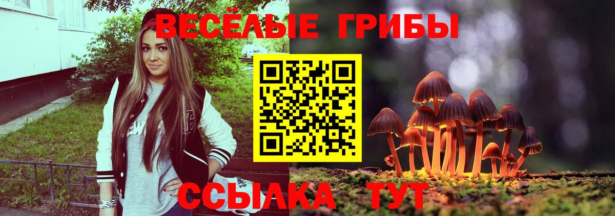Ачинск  где купить наркоту  Вход с VPN  Галлюциногенные грибы Cubensis 